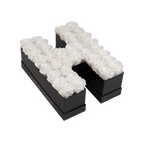 Le Grand Letter – H
