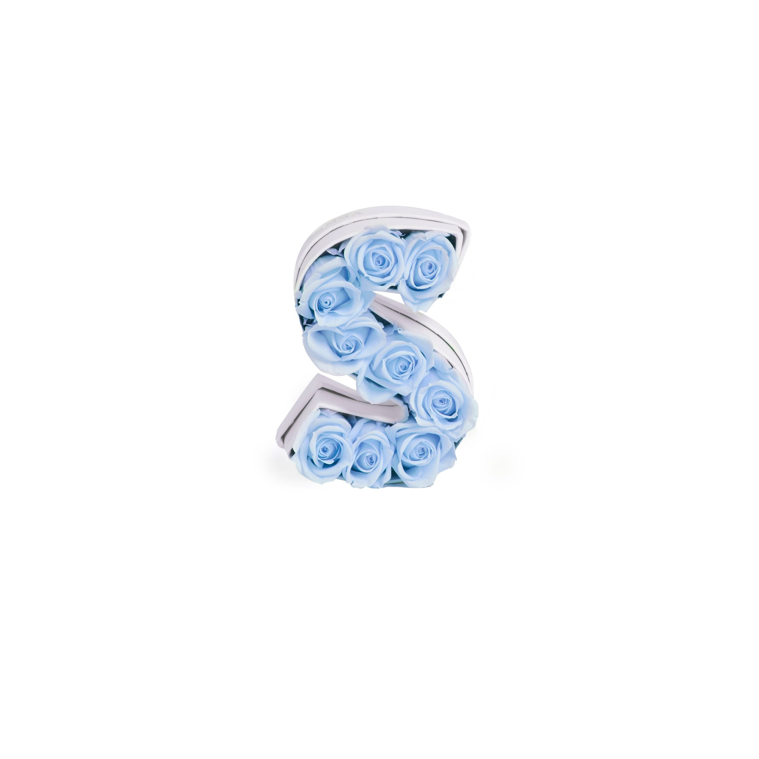 Le Mini Letter – S