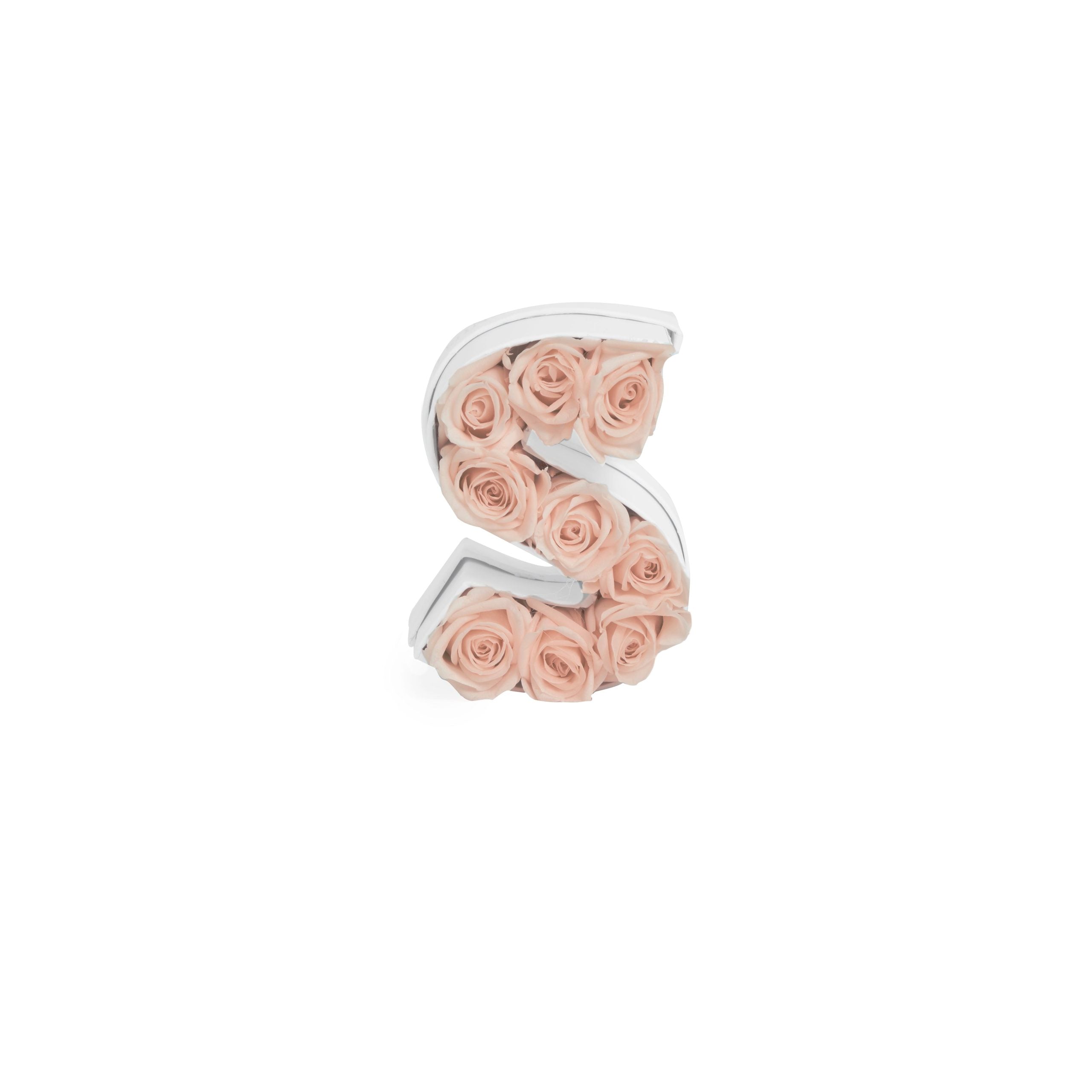 Le Mini Letter – S