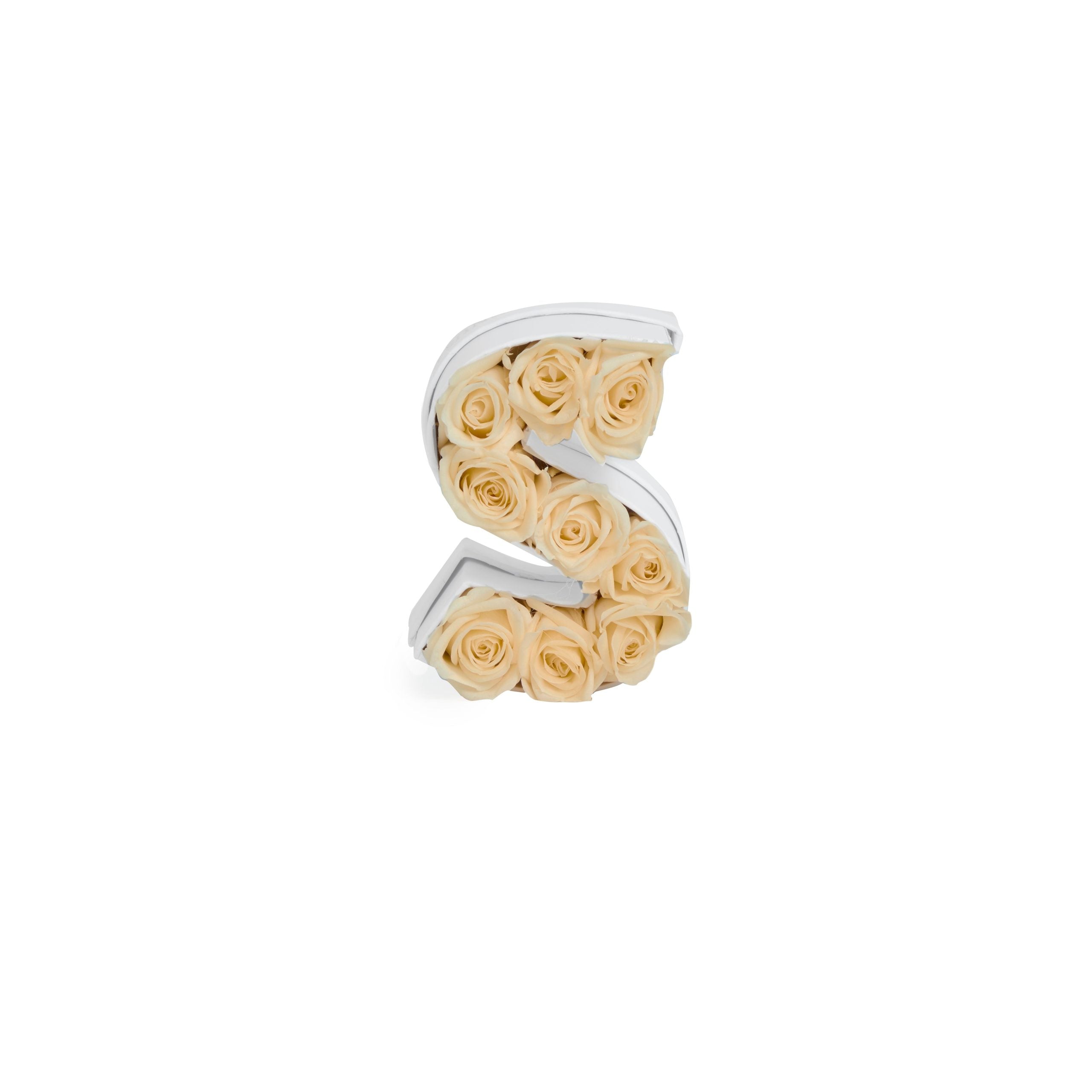 Le Mini Letter – S