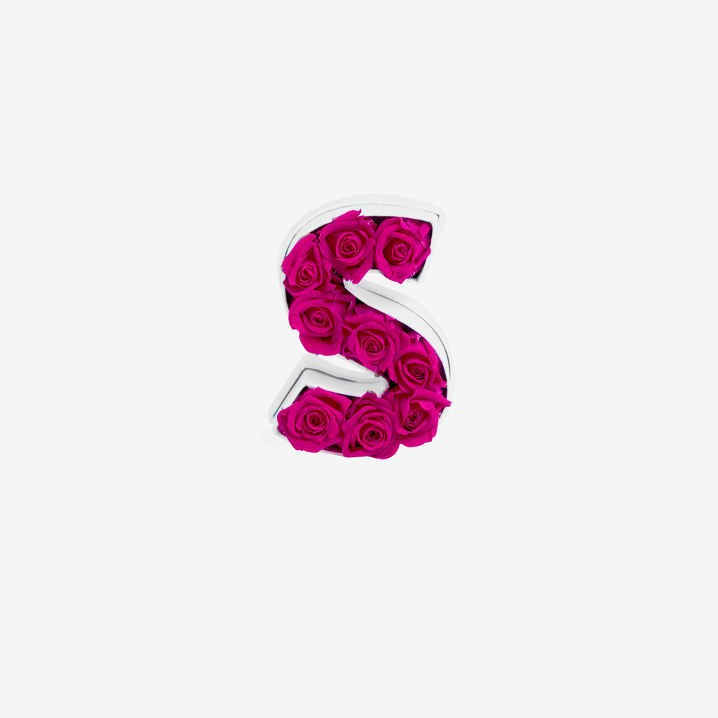 Le Mini Letter – S
