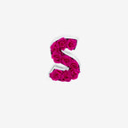 Le Mini Letter – S