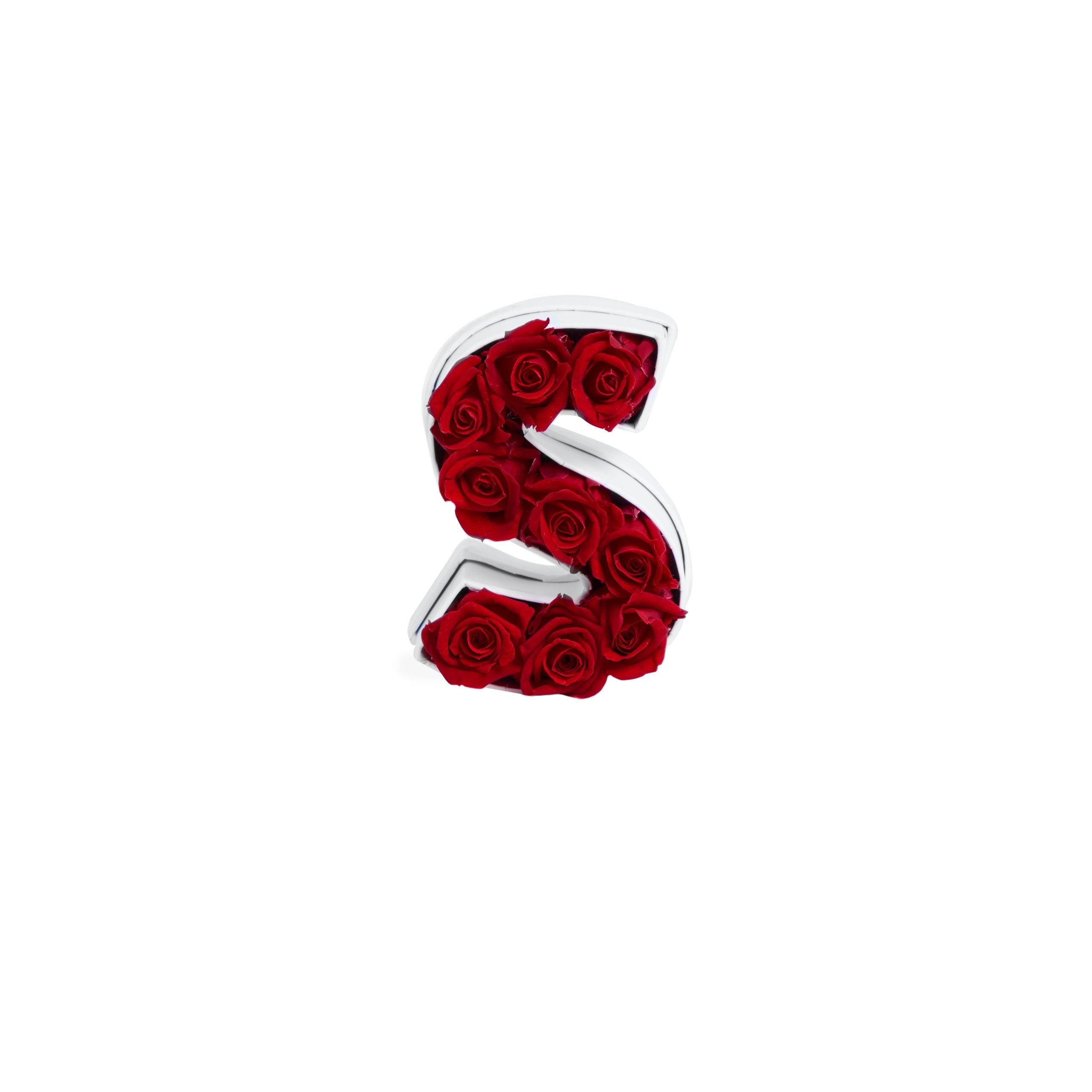 Le Mini Letter – S