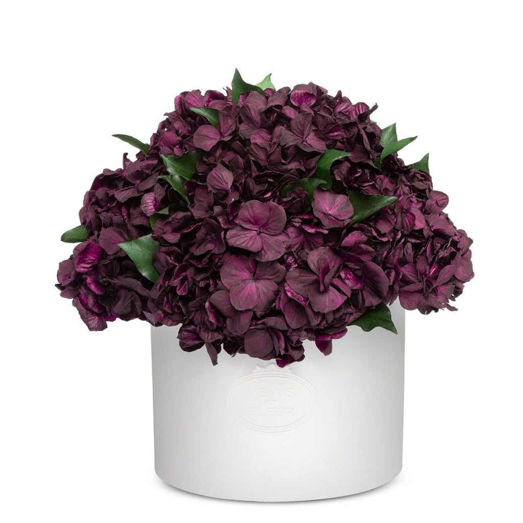 Thalia Porcelain Vase