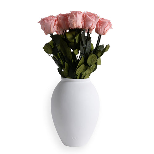 Amphora Porcelain Vase