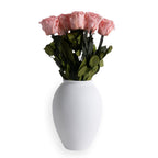 Amphora Porcelain Vase