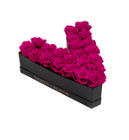 Le Grand Letter – V