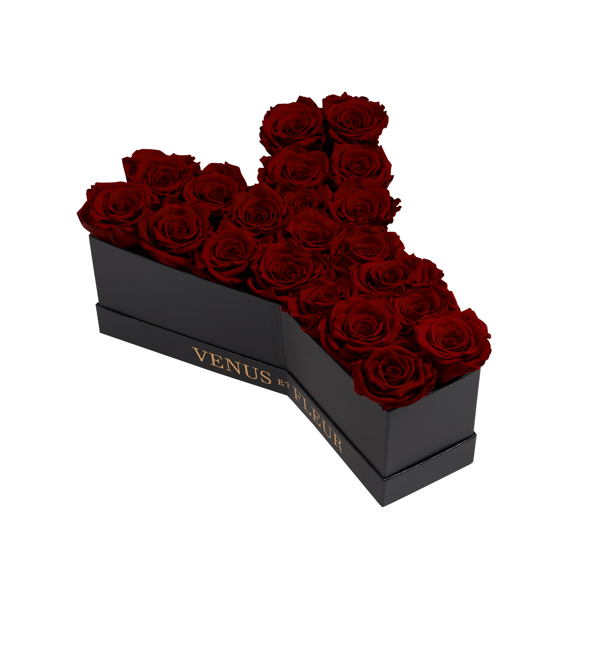 Le Grand Letter – Y