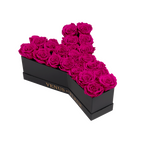 Le Grand Letter – Y