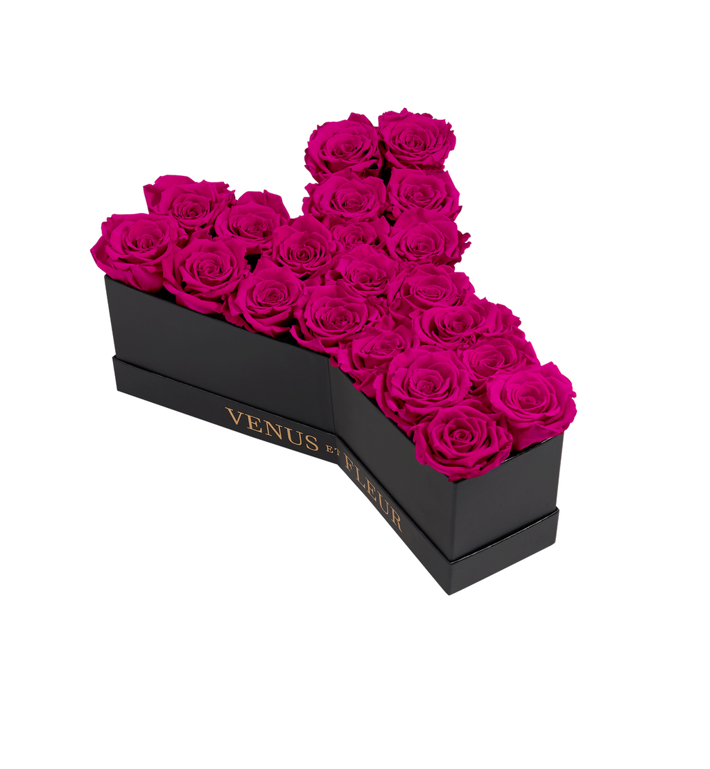 Le Grand Letter – Y