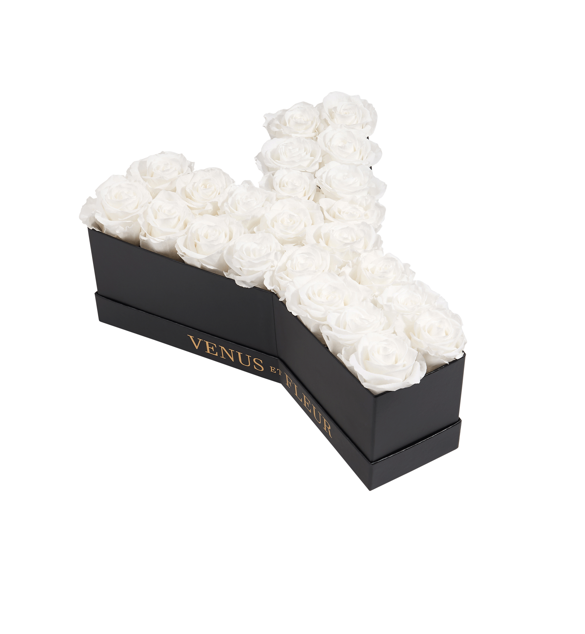 Le Grand Letter – Y