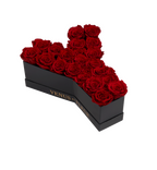 Le Grand Letter – Y