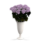 Aphrodite Porcelain Vase