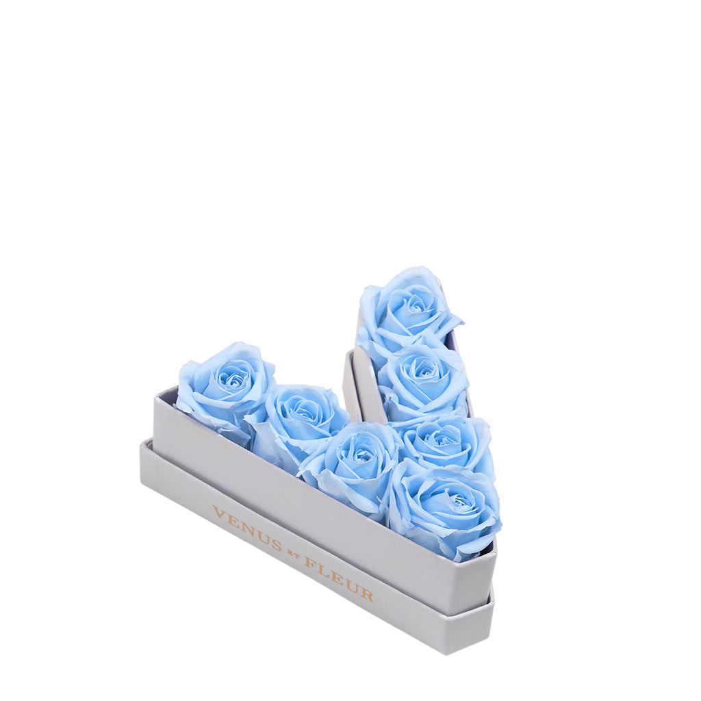 Le Mini Letter – V