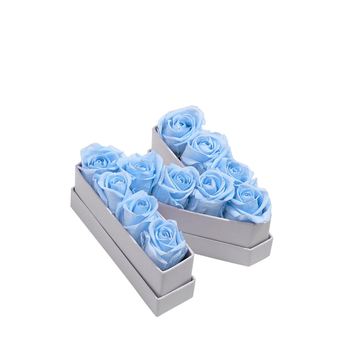 Le Mini Letter – N