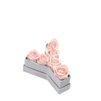 Le Mini Letter – Y