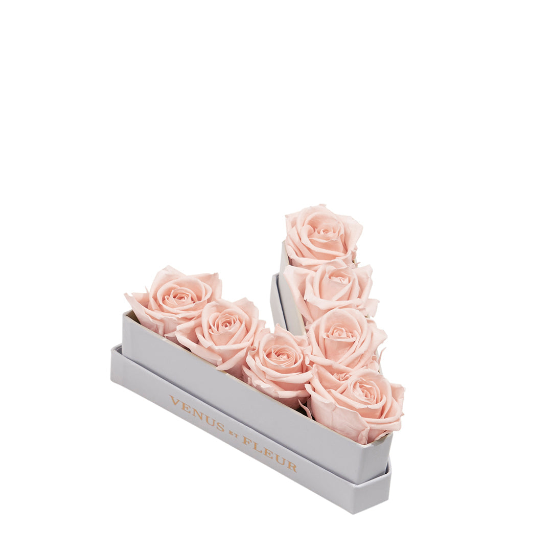 Le Mini Letter – V