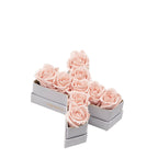 Le Mini Letter – X