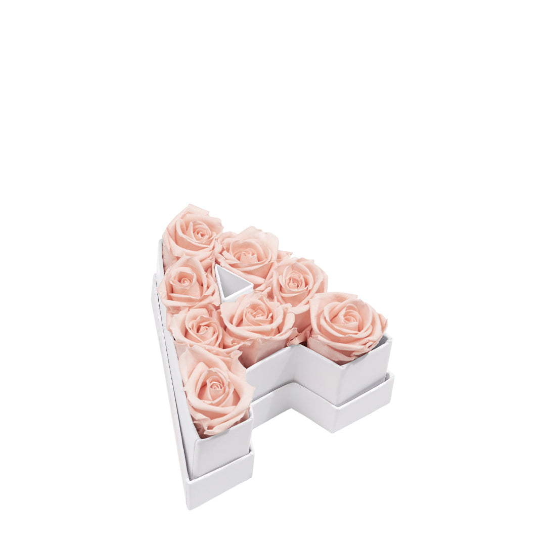 Le Mini Letter – A