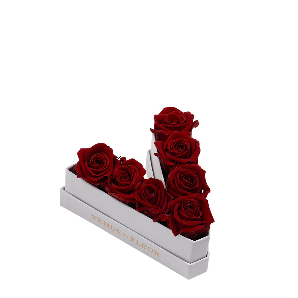 Le Mini Letter – V