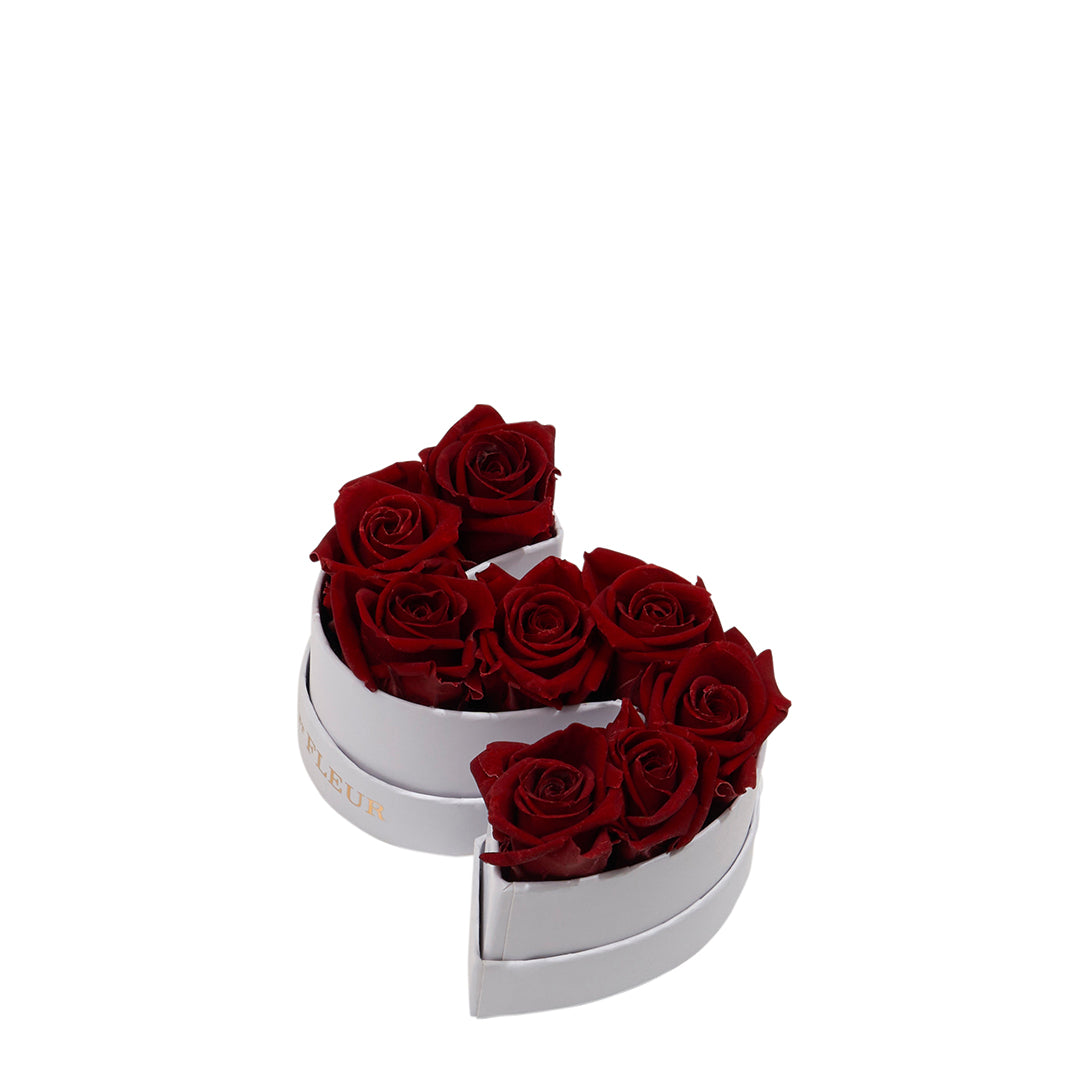 Le Mini Letter – S