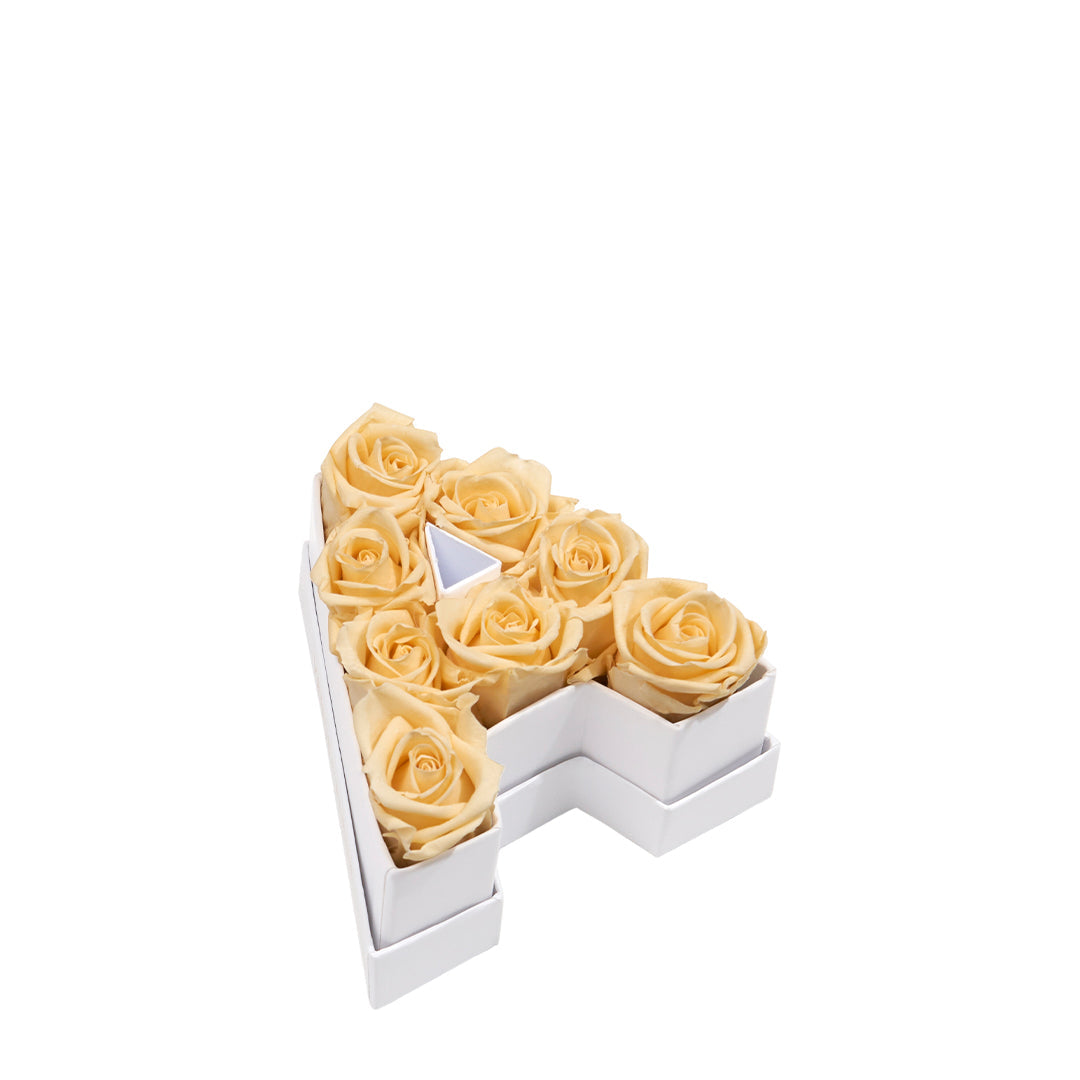 Le Mini Letter – A