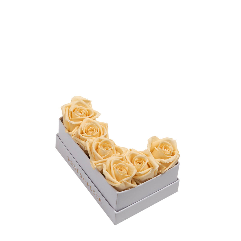 Le Mini Letter – L