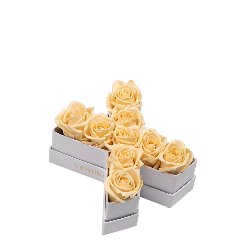 Le Mini Letter – X