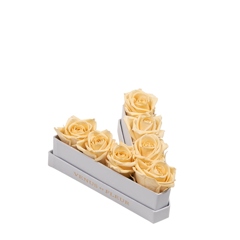 Le Mini Letter – V