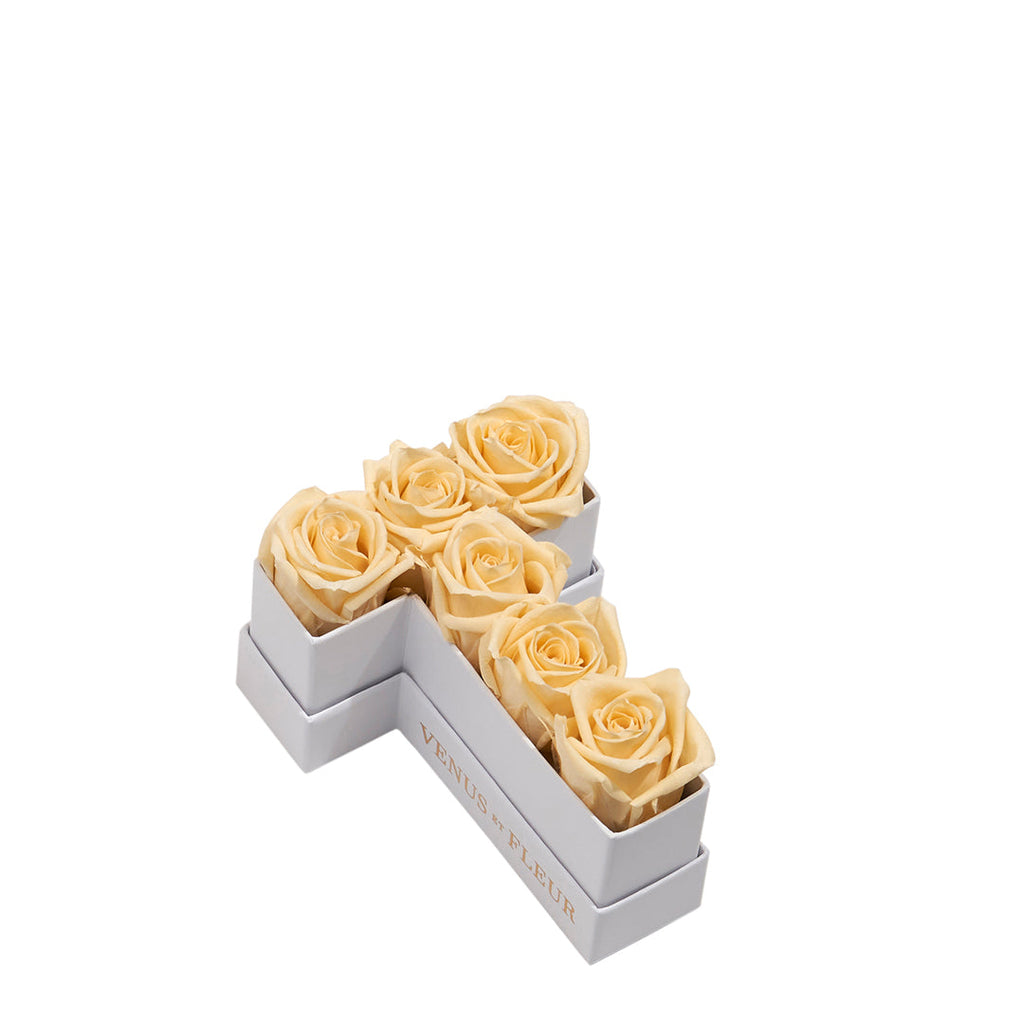 Le Mini Letter – T