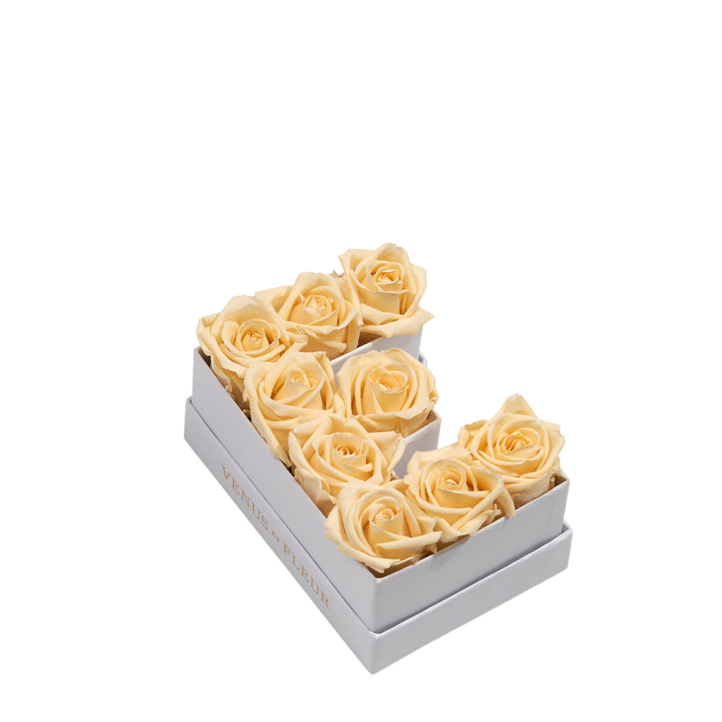 Le Mini Letter – E