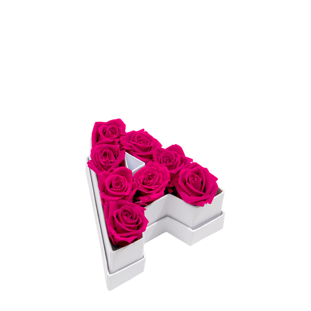 Le Mini Letter – A
