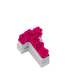 Le Mini Letter – T