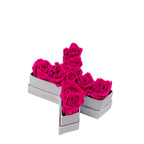 Le Mini Letter – X