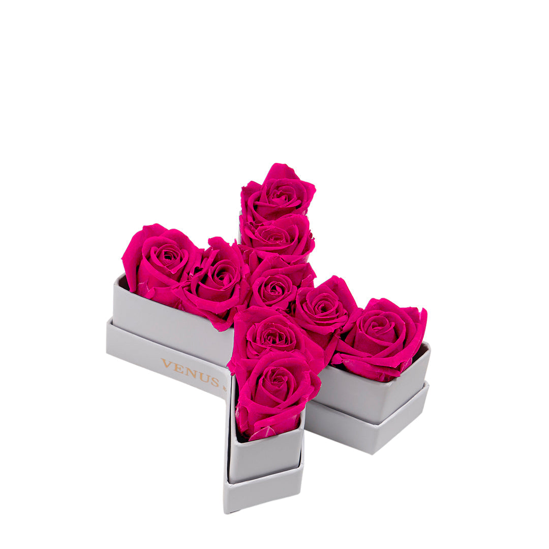 Le Mini Letter – X
