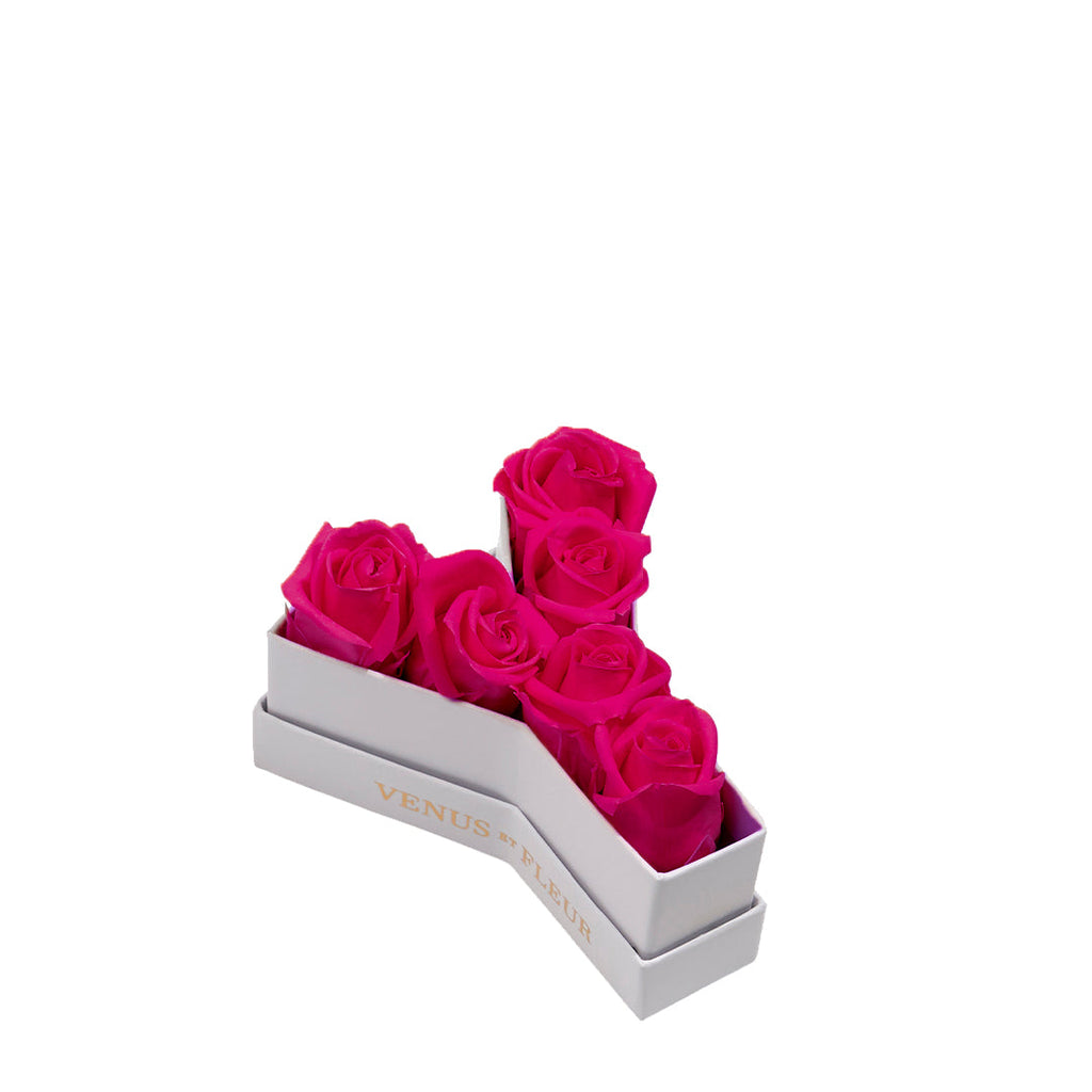 Le Mini Letter – Y