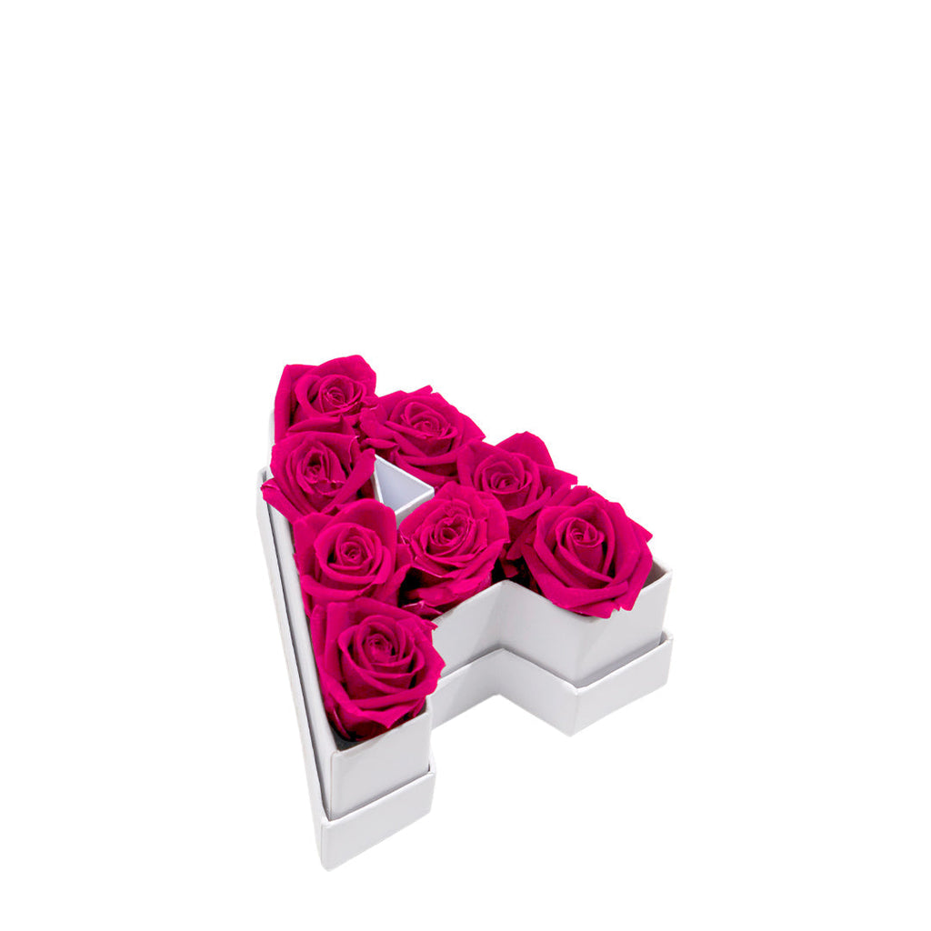 Le Mini Letter – A