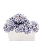 Serene Porcelain Vase