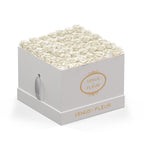 Large Square
