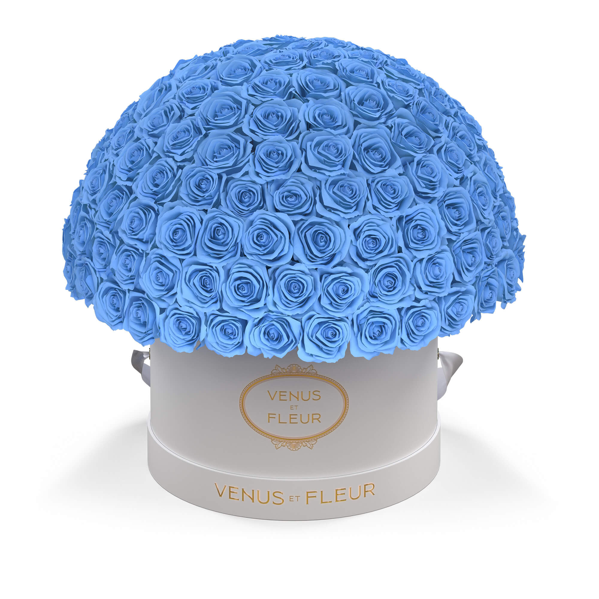Large Le Plein