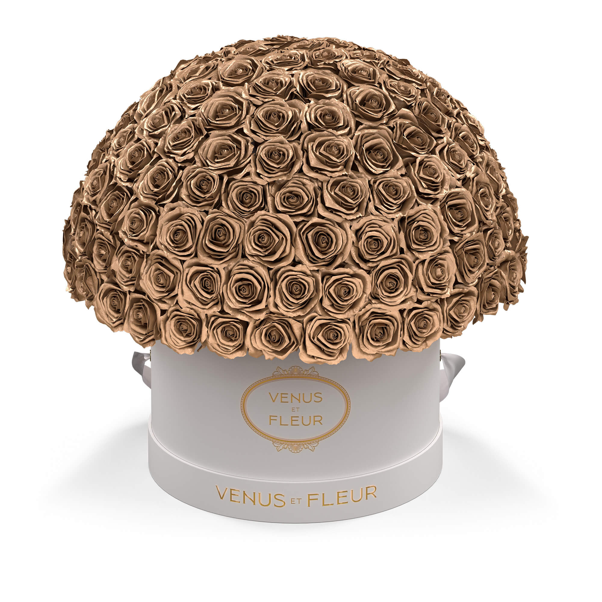 Large Le Plein