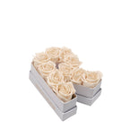 Le Mini Letter – R