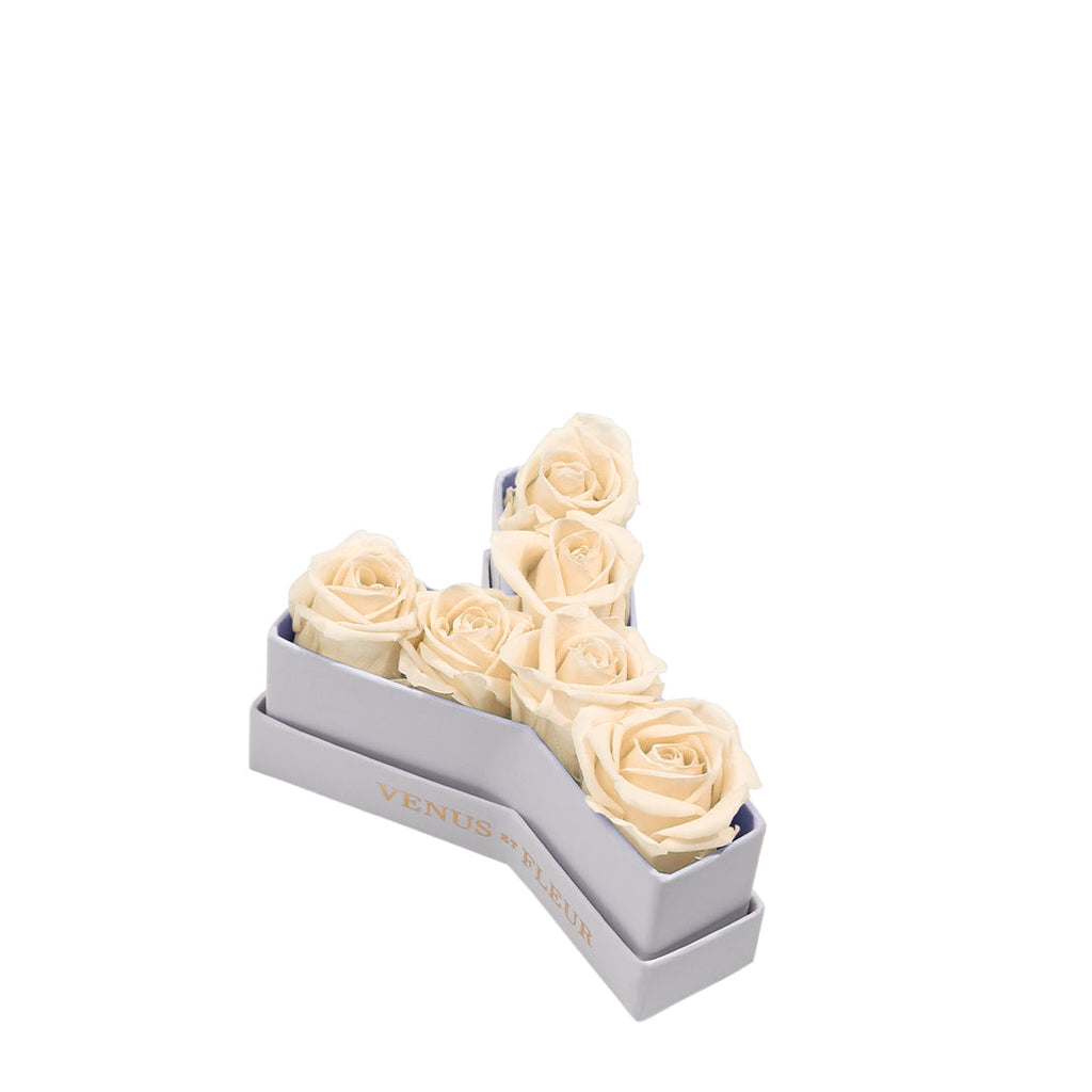 Le Mini Letter – Y