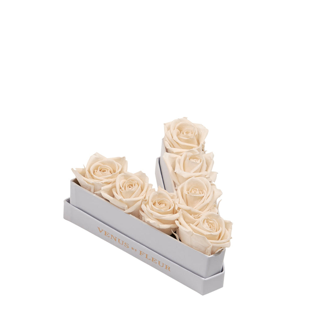 Le Mini Letter – V