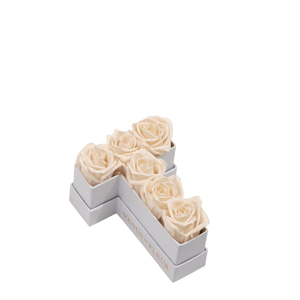 Le Mini Letter – T