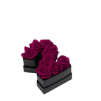 Le Mini Number – 2