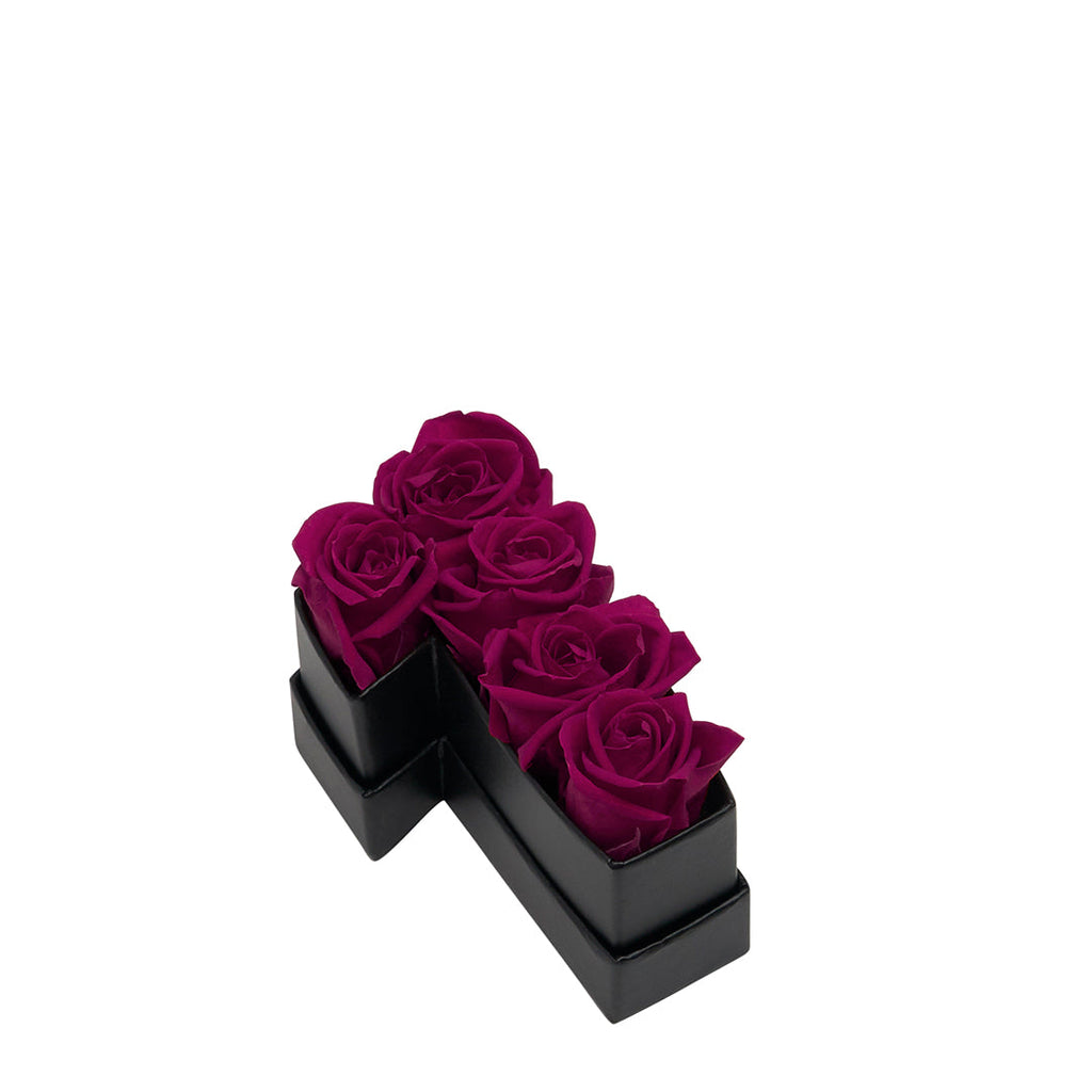 Le Mini Number – 1