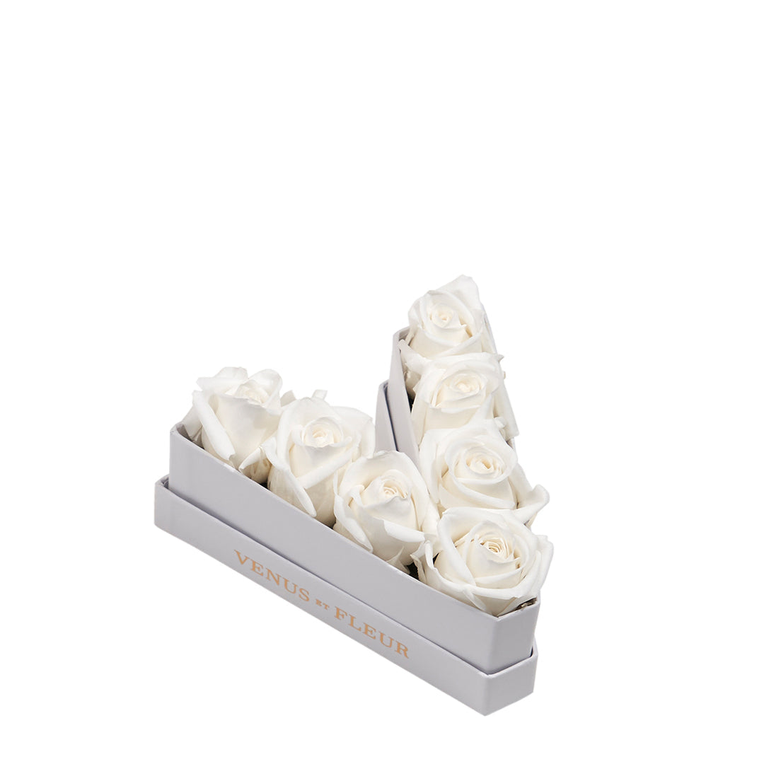 Le Mini Letter – V
