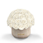 Terre Travertine Vase